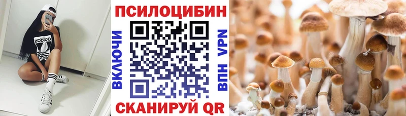 Галлюциногенные грибы MAGIC MUSHROOMS  Купить где  Приморско-Ахтарск 